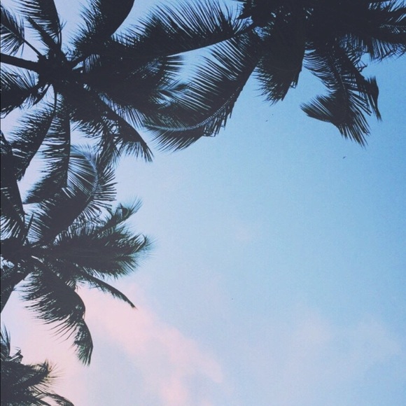 Meet your Posher, Vianey - Picture 1 of 1